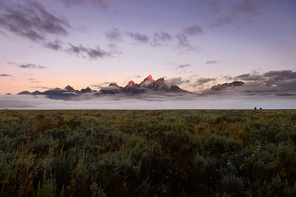 Grand Teton National Park, WY