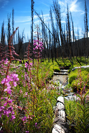Warm Lake, Idaho