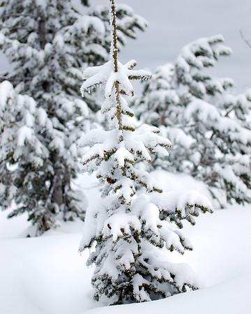 Anthony Lakes, Oregon