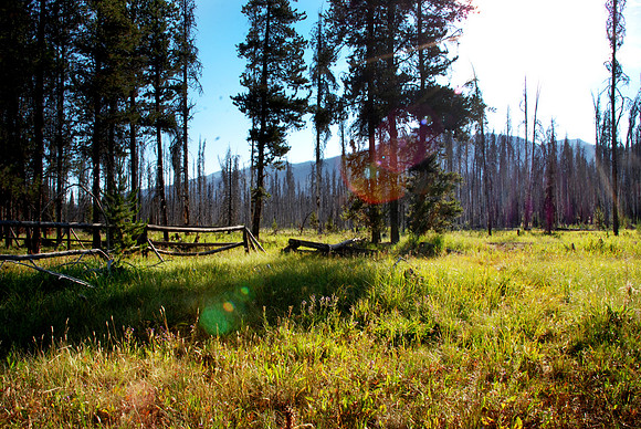 Warm Lake, Idaho